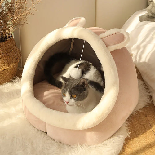 Lit pour chat Deep Sleep – Niche pliable et lavable pour animaux, style cartoon, pour chats et petits chiens
